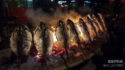 【冬日里的暖意】+ 巴楚 + 暖暖的原生態(tài)烤魚