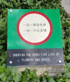 難得英文寫對了