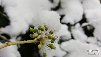 【冬日里的暖意】+西安+冰天雪地