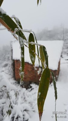 老家好大的雪…??????