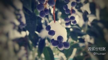 note4隨拍_第一場雪