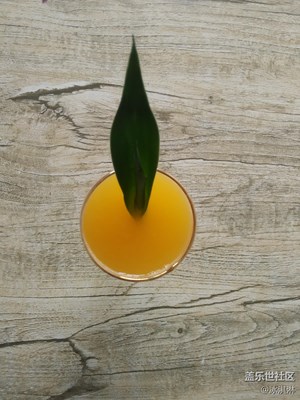 新鮮的橙汁