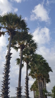 【春節(jié)曬幸?！?泰國+碧海藍(lán)天