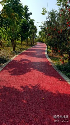 note5記錄五彩春色