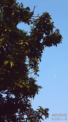 2016.2.17 夕陽下的明月，像下弦月