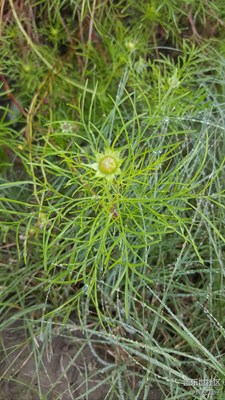 照片的后期制作