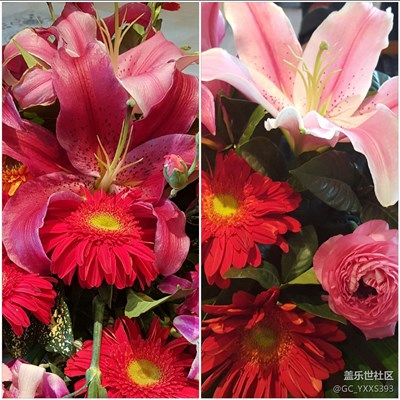 第一次用相機(jī)拼圖。