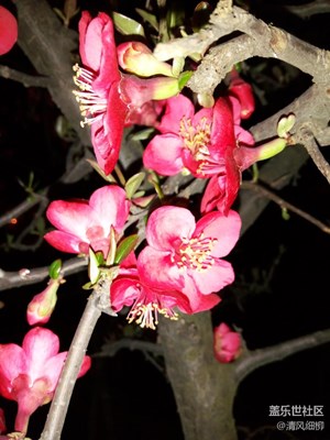 夜用閃光燈輔助拍攝降低噪點