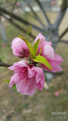 詩一樣的季節(jié)，