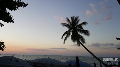 圣誕和元旦連休的泰國游記，Day5-part2，芭提雅奇妙夜