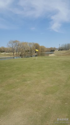 草開始慢慢綠了。