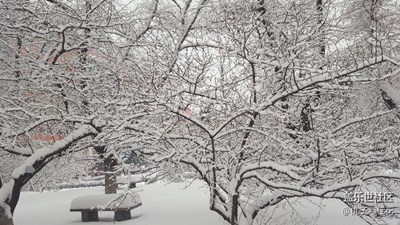 下雪