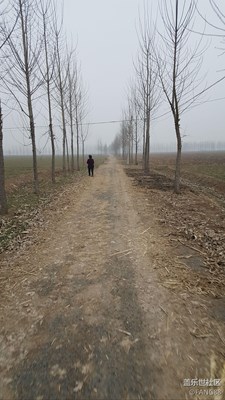 農(nóng)村晚飯后的自由活動！??