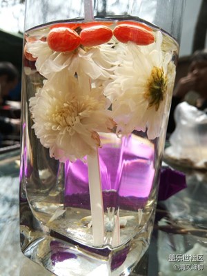 自泡養(yǎng)生菊花茶