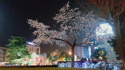 下班路上隨手拍