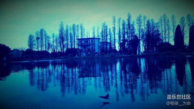 家裡的風(fēng)景