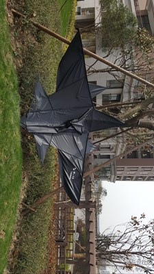 風(fēng)箏節(jié)-2