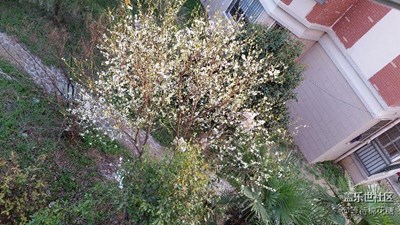 小區(qū)一角！