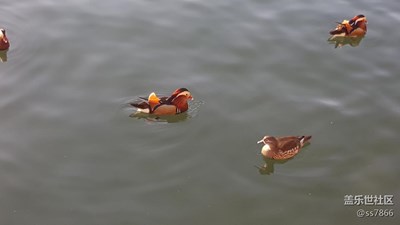 【分享】北京-北海~隨拍