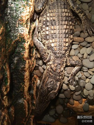 1200萬對1600萬 鑒賞+吐槽