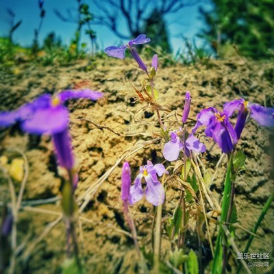 換個風(fēng)格繼續(xù)拍