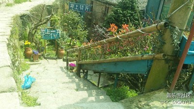 大羅山春季
