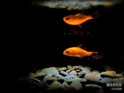 拍照果然不一樣