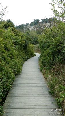 大羅山春季2