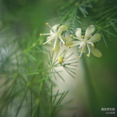 我又來了~繼續(xù)