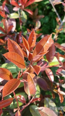 蘇州街頭隨手拍