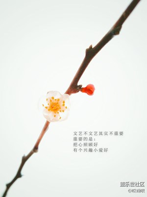 集中發(fā)下自我感覺滿意的片子