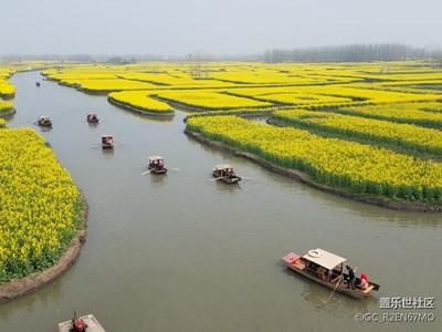 春波蕩漾,花香四溢