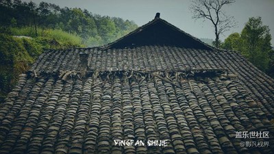 【影凡視界】手機(jī)隨拍