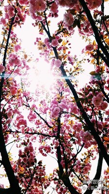 騎行沿途風(fēng)景