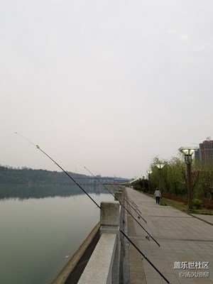 【踏春游清明】十梓州  十沿江攬勝賞花去