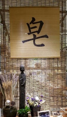 隨拍