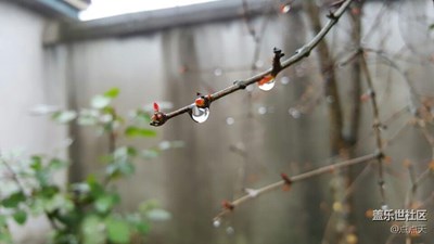 NOTE5，清明時節(jié)雨紛紛