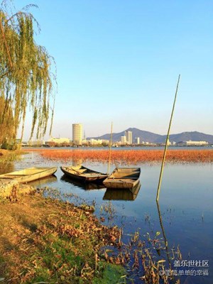 隨手拍攝