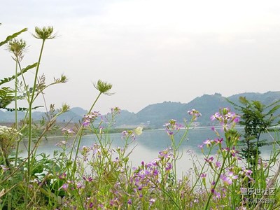 三星S7專(zhuān)業(yè)模式體驗(yàn)