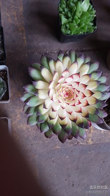 看看我的9250拍攝的！