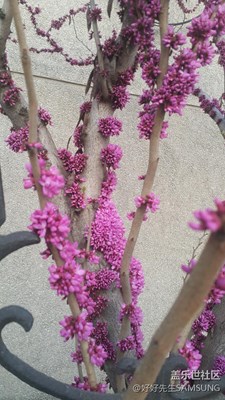 春暖花開