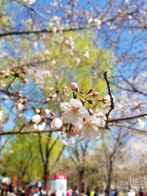 旅游京城風(fēng)景