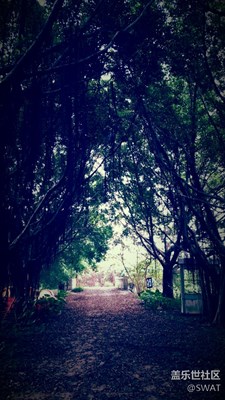 一個(gè)充滿神秘感的地方