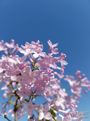 S7e沒經(jīng)過后期的片子是什么樣的