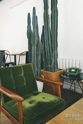 在飄著柳絮的周六去吃一頓 brunch