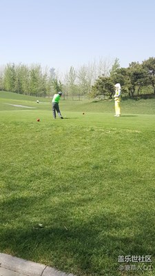 小朋友打高爾夫還挺職業(yè)