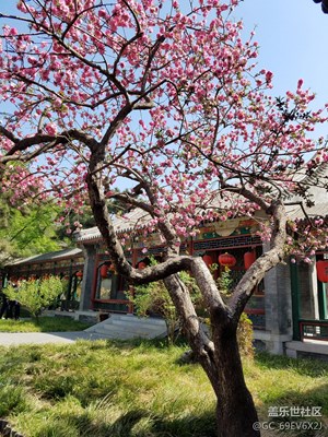 北京大觀園，記憶中的美。