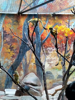 分享幾張自己拍的照片