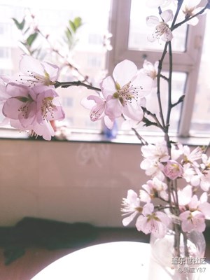 S7 edge 自帶濾鏡好好用！