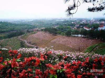 周末游玩A7隨手拍